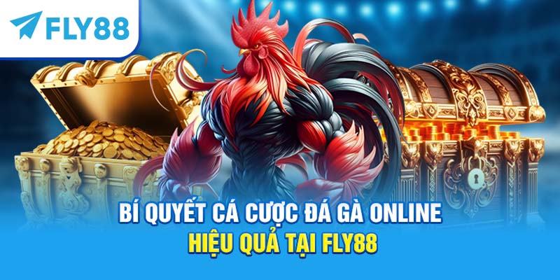 Bí quyết cá cược đá gà online hiệu quả tại Fly88
