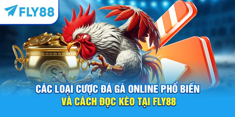 Các loại cược đá gà online phổ biến và cách đọc kèo tại Fly88