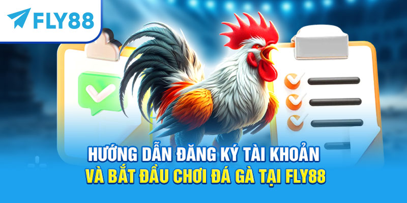 Hướng dẫn đăng ký tài khoản và bắt đầu chơi đá gà tại Fly88