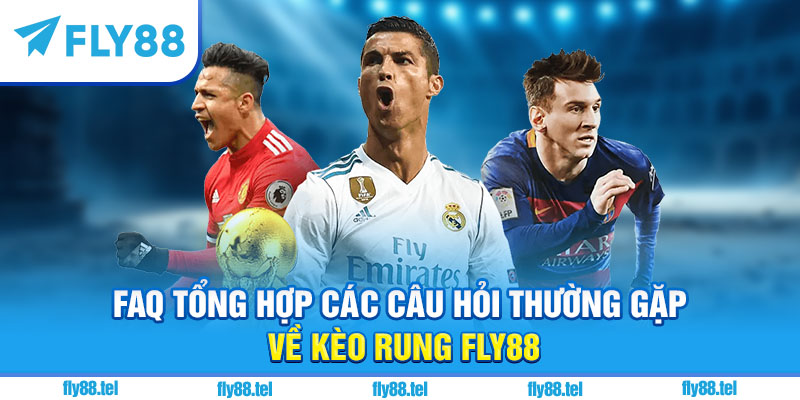 FAQ tổng hợp các câu hỏi thường gặp về kèo rung Fly88