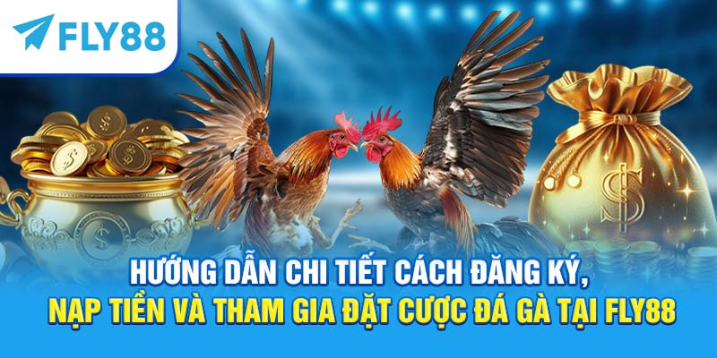 Hướng dẫn chi tiết cách đặt cược đá gà tại Fly88